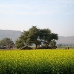 Earth Day and India