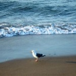Being "ABCD" and Authenticity